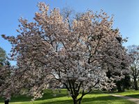 Schlosspark_Buseck_02