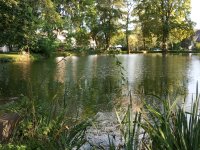 Schlosspark_Buseck_13