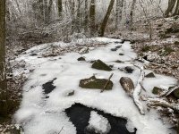 Schaecherbach_Winter_00006