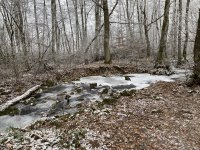 Schaecherbach_Winter_00007