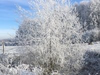 Schaecherbach_Winter_00011