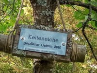 Keltensiedlung Dünsberg Biebertal