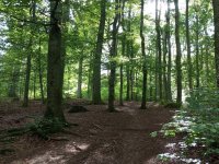 Keltensiedlung Dünsberg Biebertal