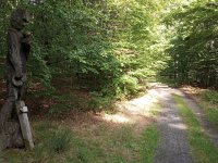 Keltensiedlung Dünsberg Biebertal