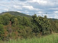 Keltensiedlung Dünsberg Biebertal