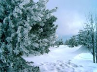 Fichtelberg Erzgebirge