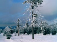 Fichtelberg Erzgebirge