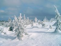 Fichtelberg Erzgebirge